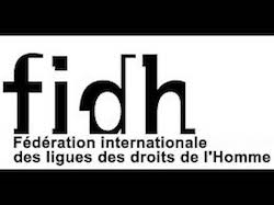 Federación Internacional de Ligas de los Derechos Humanos (FIDH)
